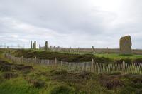 Schottland Island 2017