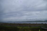 Schottland Island 2017