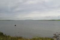 Schottland Island 2017