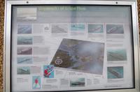 Schottland Island 2017