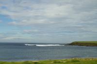 Schottland Island 2017