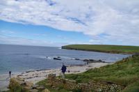 Schottland Island 2017