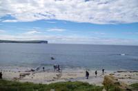 Schottland Island 2017