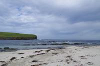 Schottland Island 2017