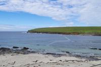 Schottland Island 2017