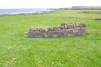 Schottland Island 2017