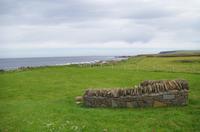 Schottland Island 2017