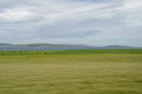 Schottland Island 2017