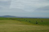 Schottland Island 2017