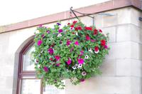 Schottland Island 2017