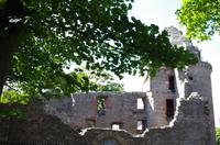 Schottland Island 2017