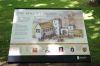 Schottland Island 2017