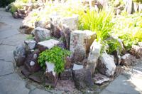 Schottland Island 2017