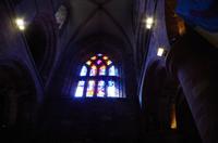 Schottland Island 2017