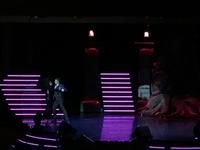 Schottland Island 2017