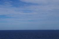 Schottland Island 2017