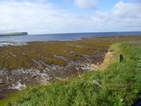 Brough of Birsay