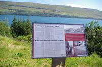 Schottland Island 2017