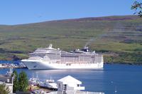 Schottland Island 2017