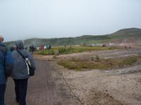 Geysir Areal