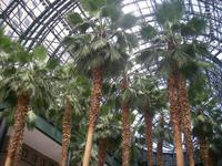 Wintergarten in Manhattan