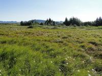 Nationalpark Thingvellir