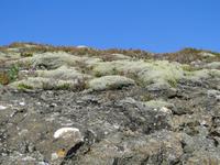 Nationalpark Thingvellir