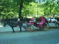 Central Park