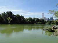Central Park