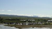 Geysir Strokkur