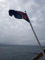 086_Whale Watching