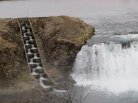 Unser 1. Wasserfall mit Lachstreppe