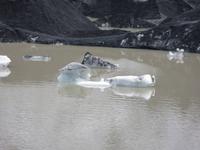 am Ausläufer des Gletschers Solheimajökull