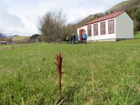 Heimatmuseum in Skogar