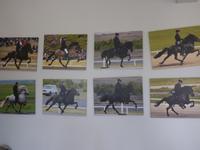 Island, Flugumyri Pferdehof