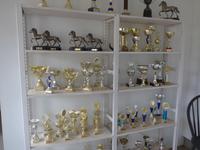 Island, Flugumyri Pferdehof