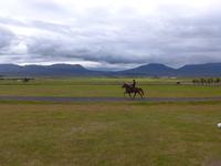 Island, Flugumyri Pferdehof