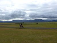 Island, Flugumyri Pferdehof