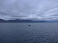 Island, Akureyri, Walsafari