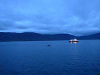 Island, Akureyri, Walsafari