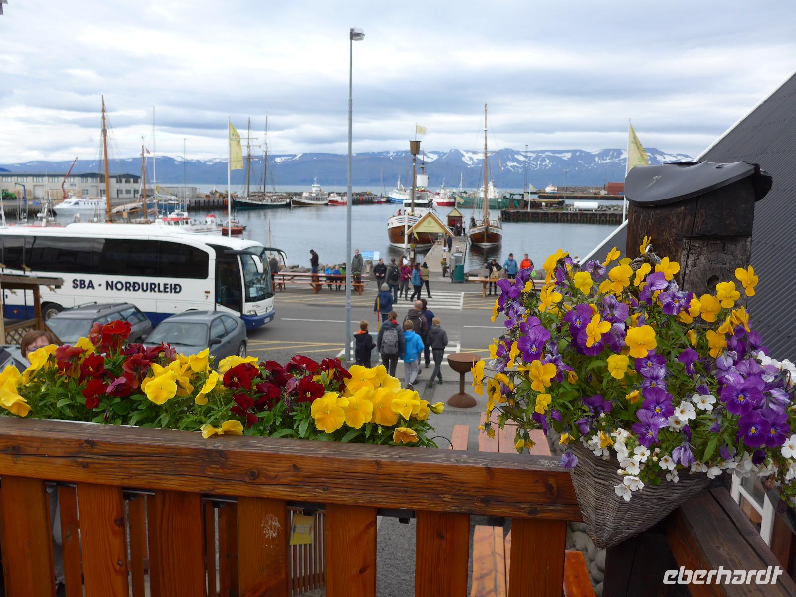 Island, Husavik