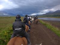 Island, Akureyri, Pferdehof 