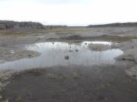 Island, Weg zum Dettifoss