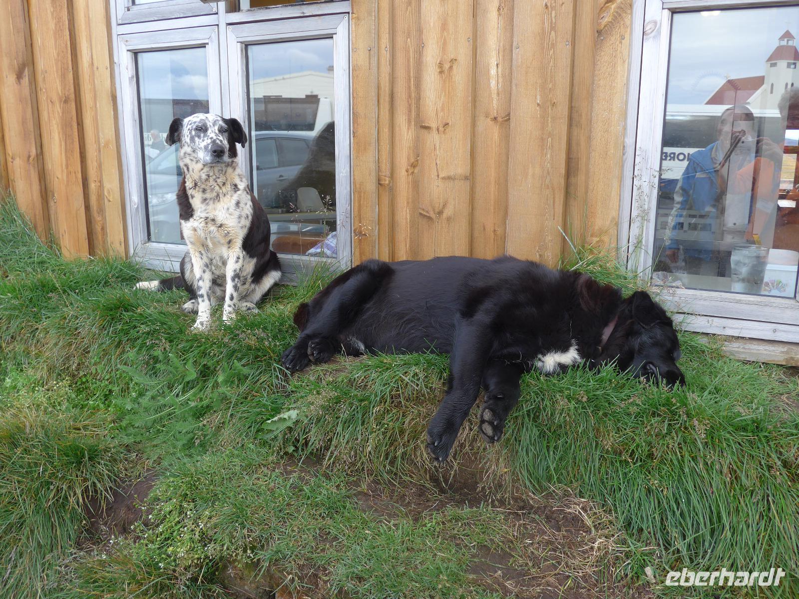 Island, höchst gelegener Bauernhof Mödrudalur