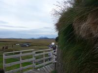 Island, höchst gelegener Bauernhof Mödrudalur mit 