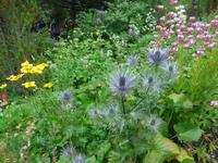 Island, Garten in Petras Steinhaus
