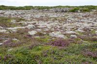 erste Wanderung zum Eldborg