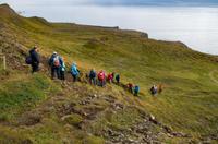 Küstenwanderung Raudanes