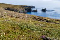 Küstenwanderung Raudanes