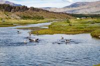 Thingvellir Nationalpark